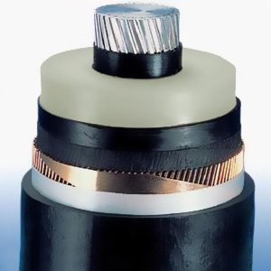 ÿһ�P��|ͨ�^�͉��y�