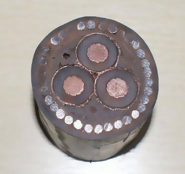 ��|�o�����x