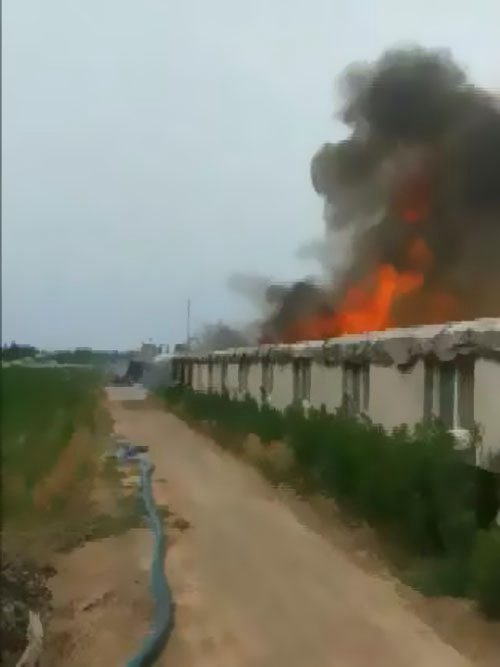 ������Ȼ�@����������ԭ����������