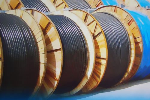 ��ͬ��̖(h��o)��|��ʹ�È�(ch��ng)��